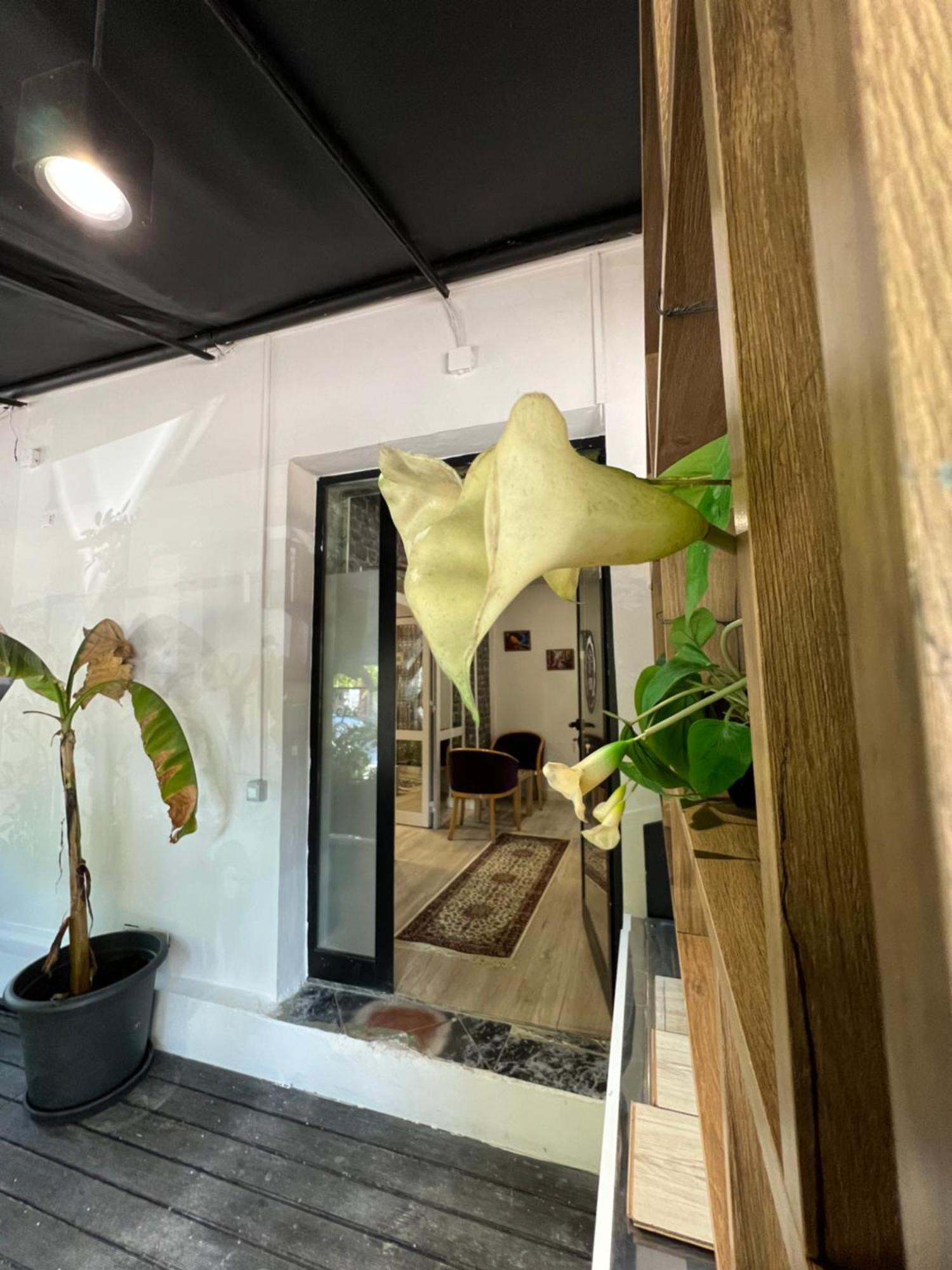 Destinacion Central Room Tiranë Ngoại thất bức ảnh